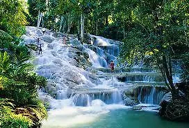 Paradise Turtle Towers Apartments Ocho Rios