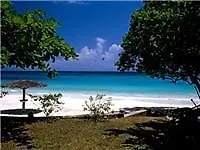 Paradise Turtle Towers Apartments Ocho Rios Hotel